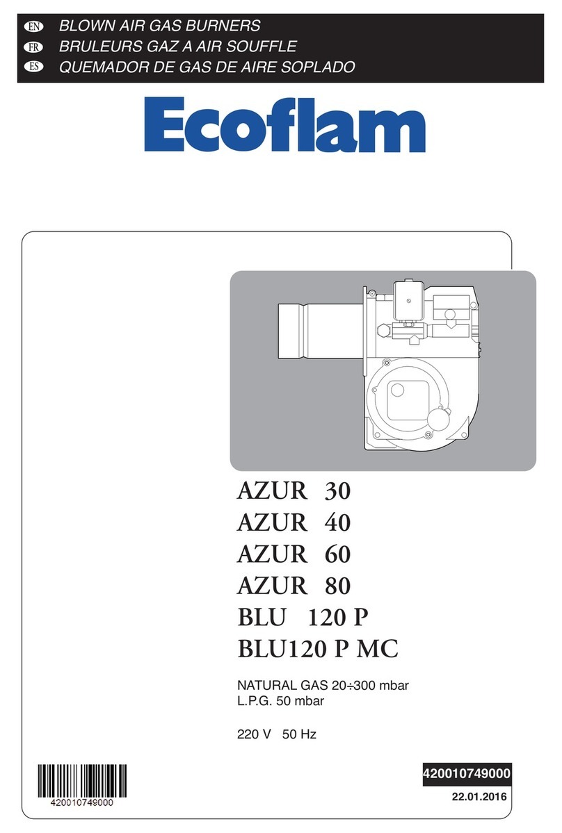 Ecoflam AZUR 30 User manual Ecoflam AZUR 30 User manual
