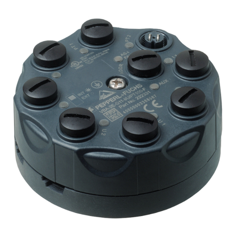 Pepperl+Fuchs VBA-2E-G11-I/U/PT100-F User manual
