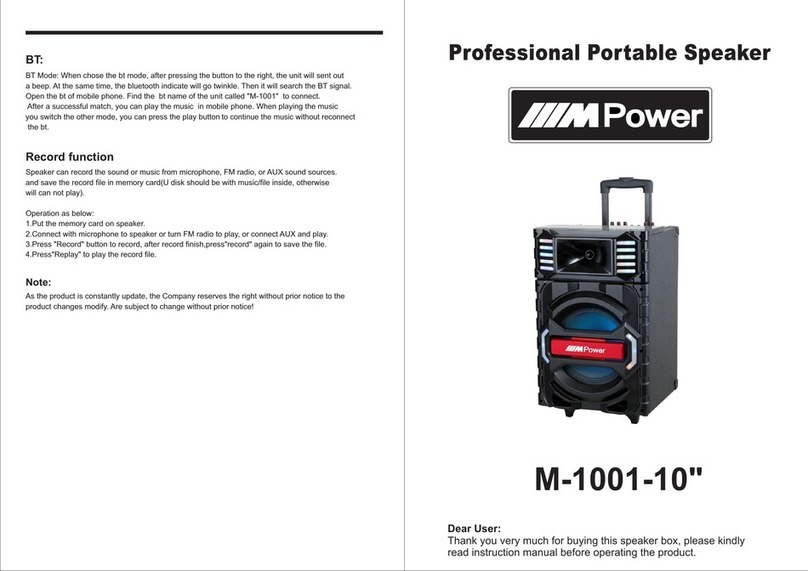 M-Power M-1001-10" instruction manual