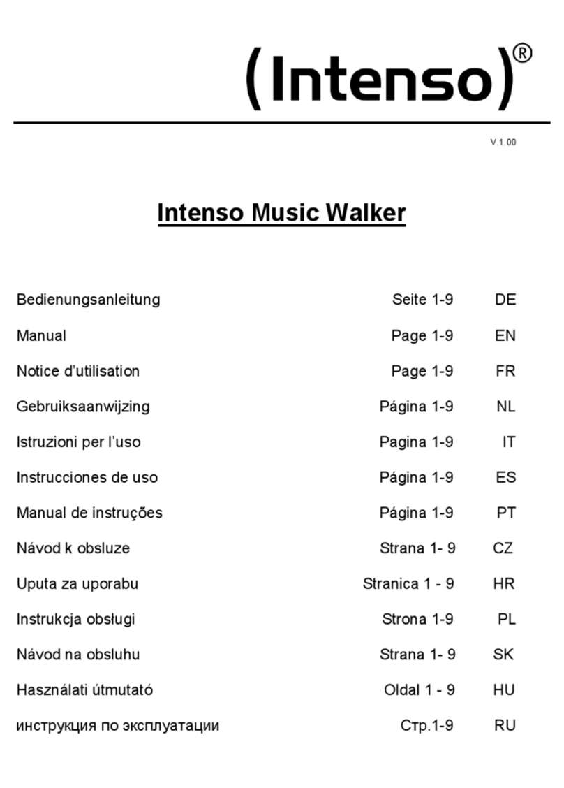 Intenso Music Walker User manual