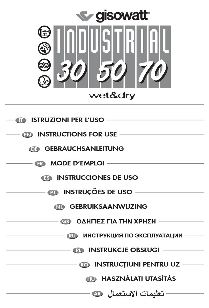 Gisowatt Industrial 30 Instructions for use