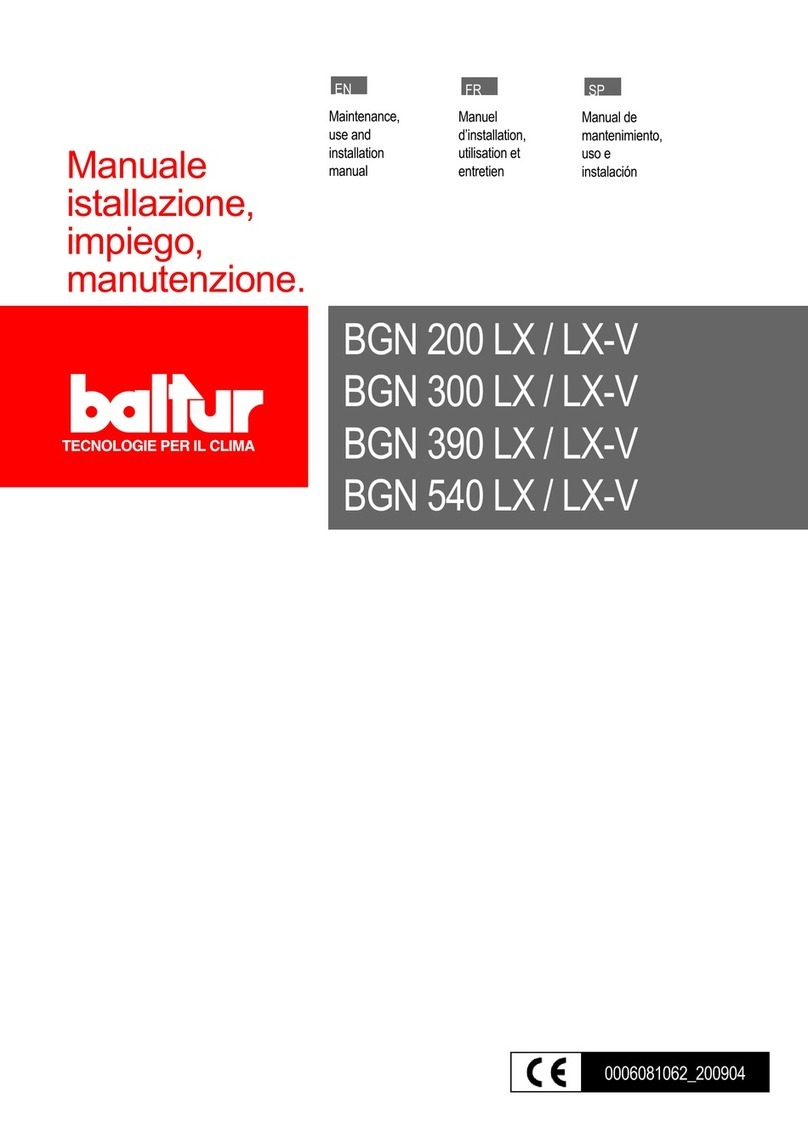 baltur BGN 200 LX Maintenance, use and installation manual