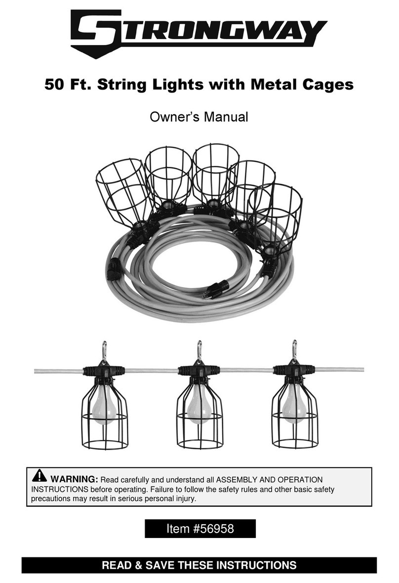 Strongway 56958 owner's manual