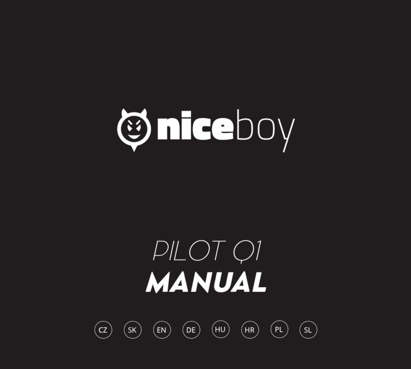 Niceboy PILOT Q1 User manual
