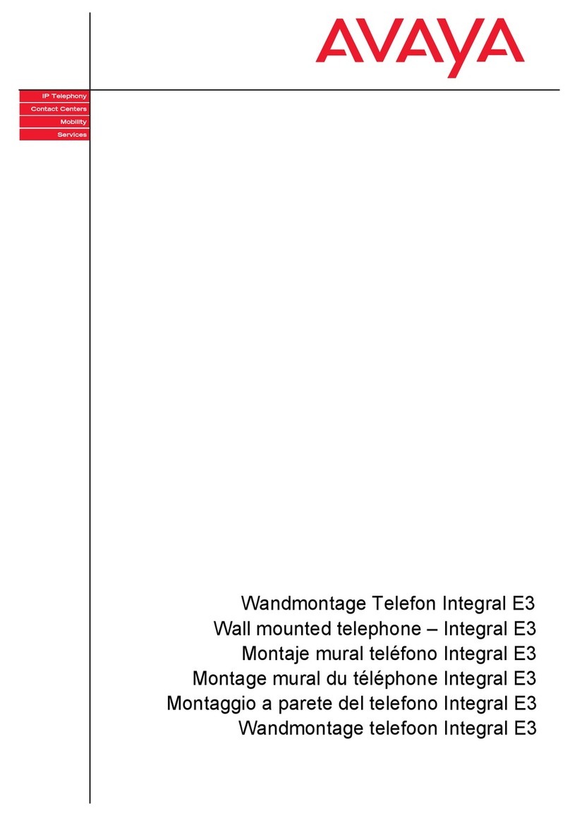 Avaya Integral E3 analog manual