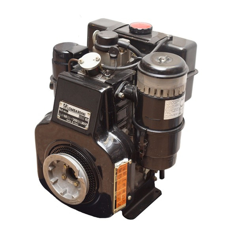 Kohler Lombardini 6 LD 260 Use & maintenance
