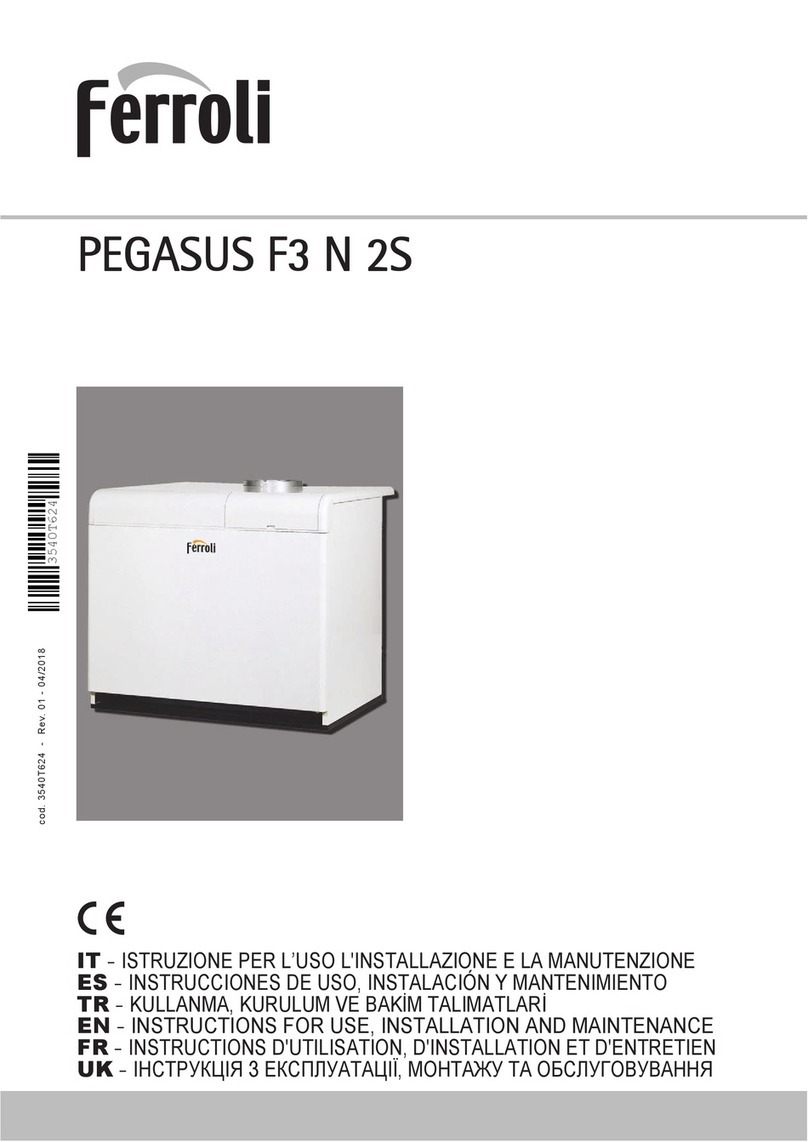 Ferroli PEGASUS F3 N 2S Troubleshooting guide