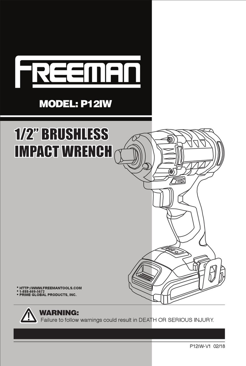 Freeman P12IW manual