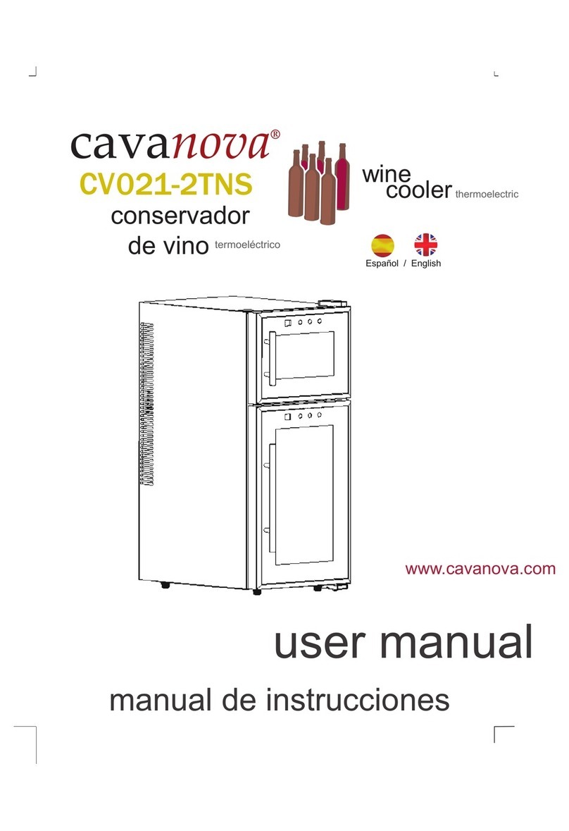Cavanova CV021-2TNS user manual
