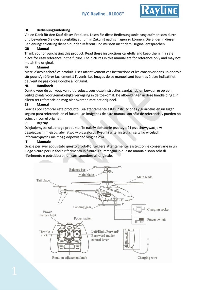 Rayline R100G User manual