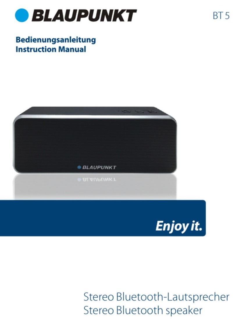 Blaupunkt BT5 User manual