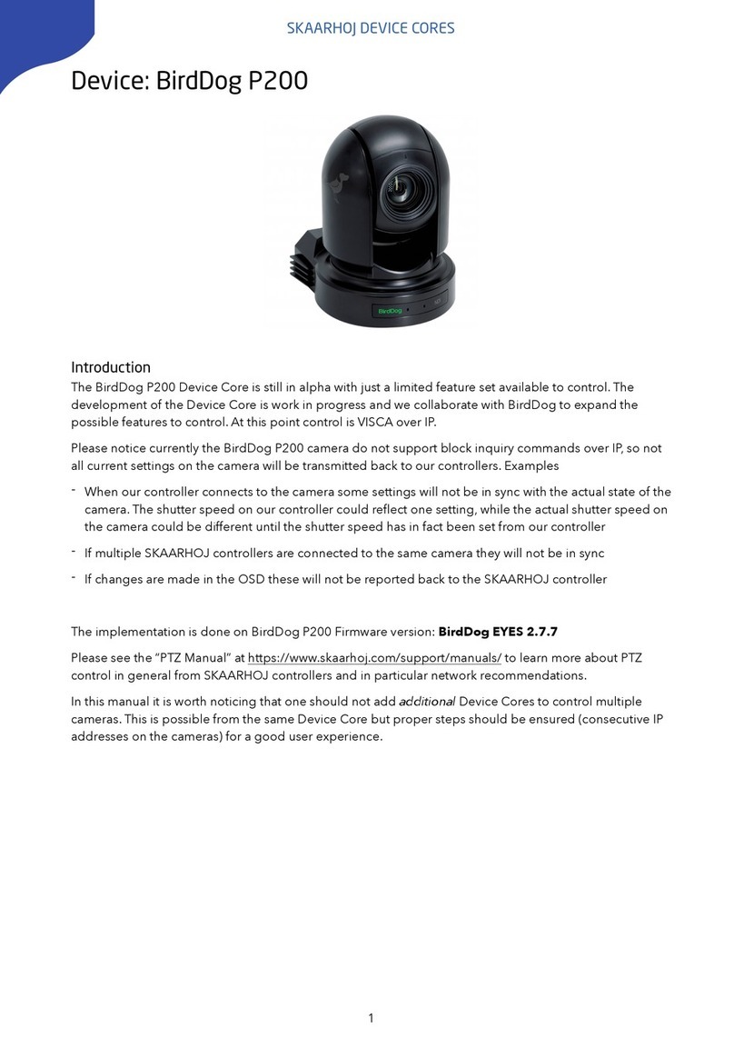 birddog EYES P200 quick start guide