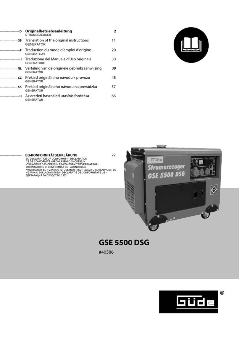 Gude GSE 5500 DSG User manual