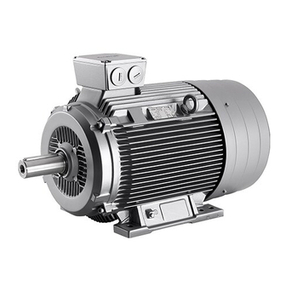 Siemens 1LG4 User manual