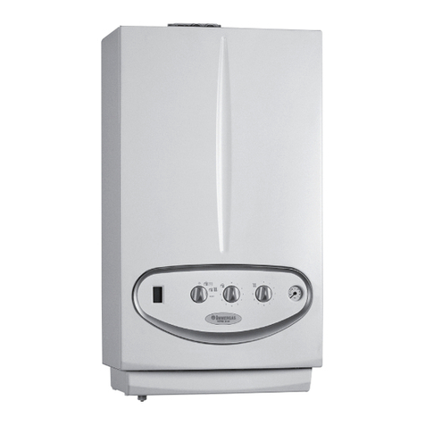 Immergas VICTRIX 24 kW X User manual