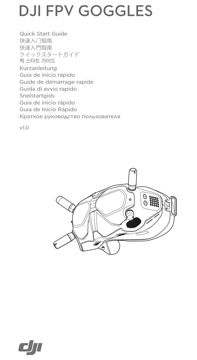 dji FPV GOGGLES User manual