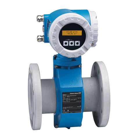 Endress+Hauser Promag Series User manual