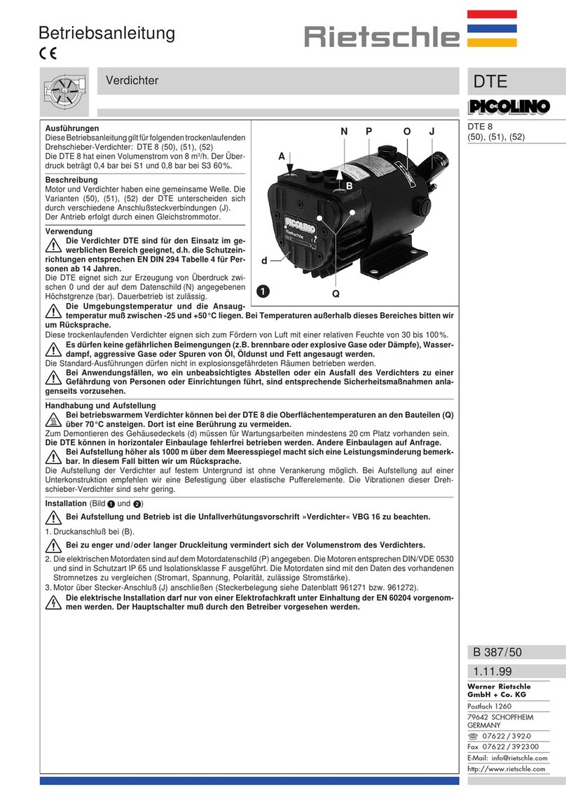 Rietschle PICOLINO DTE Series User manual