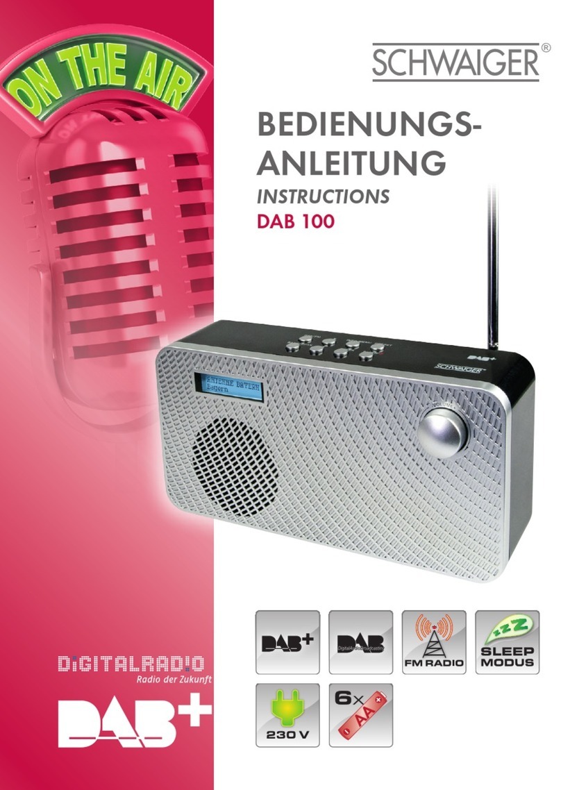 Schwaiger DAB 100 User manual