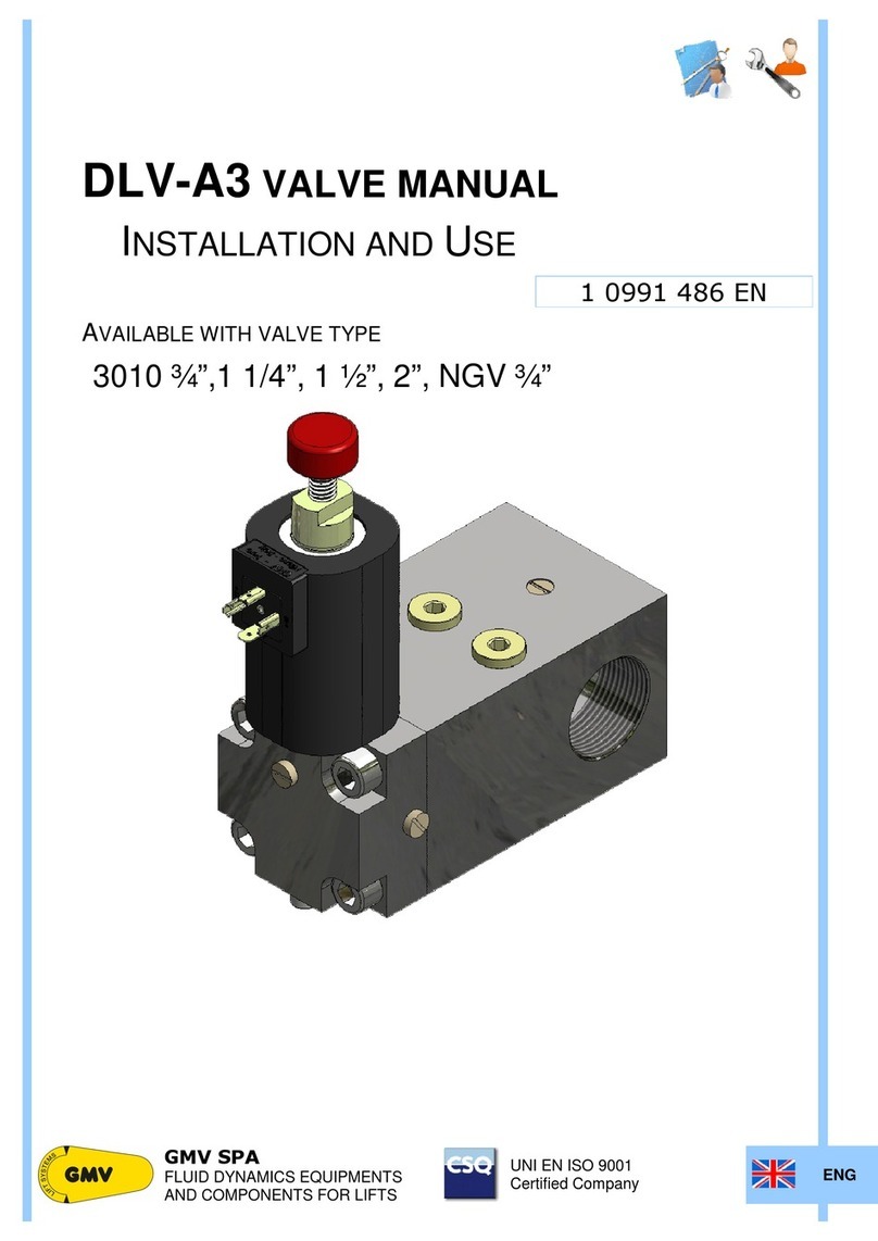 GMV DLV-A3 User manual