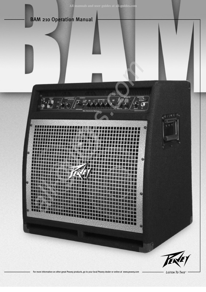 Peavey BAM 210 User manual