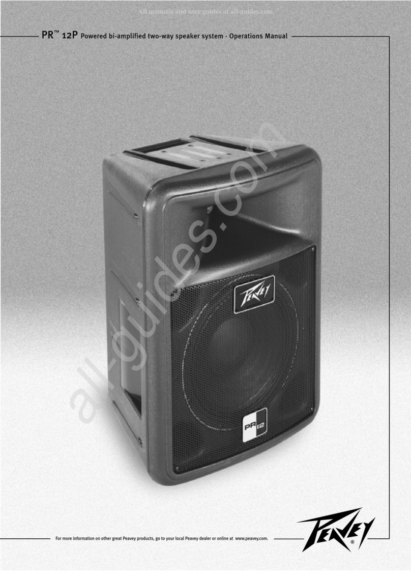 Peavey PR 12P User manual