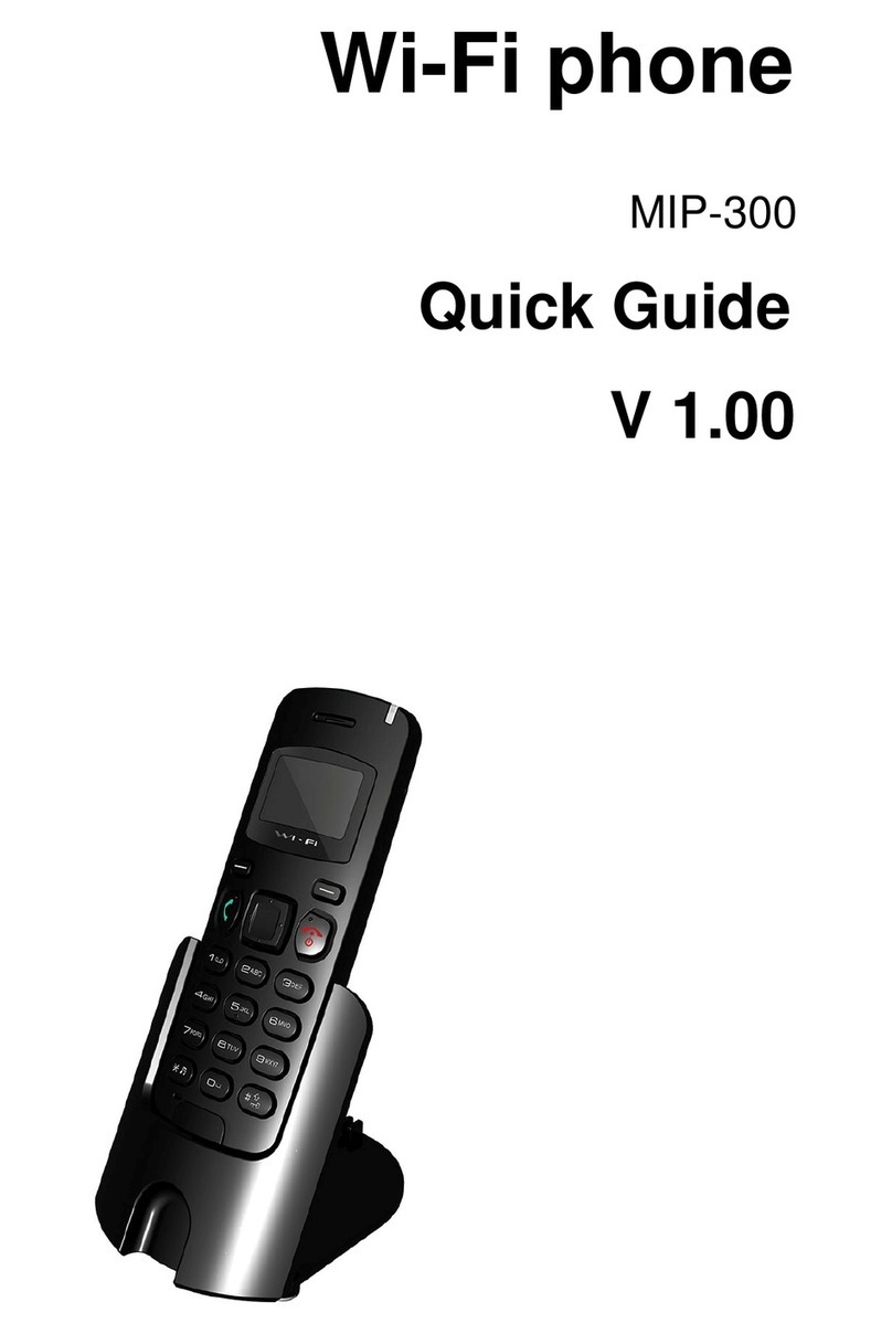 AEI MIP-300 quick guide