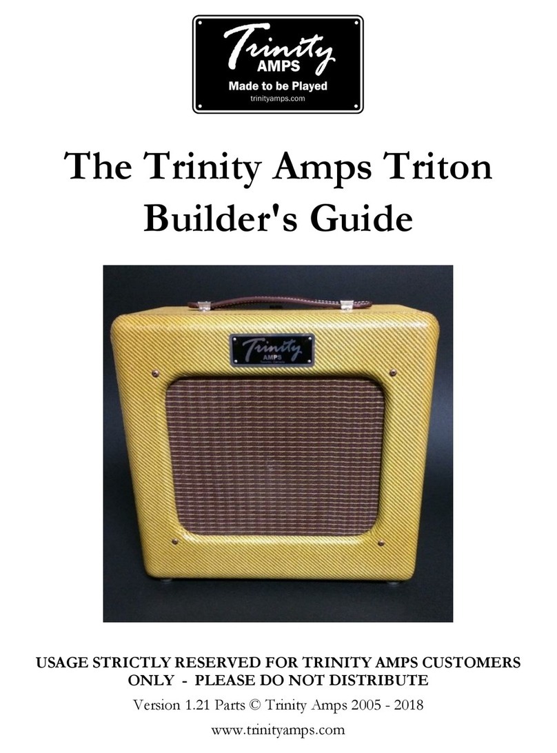 Trinity Amps Triton User manual