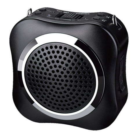 Takstar E200W User manual