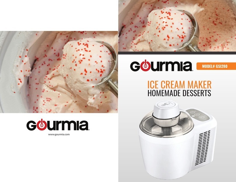 Gourmia GSI280 manual