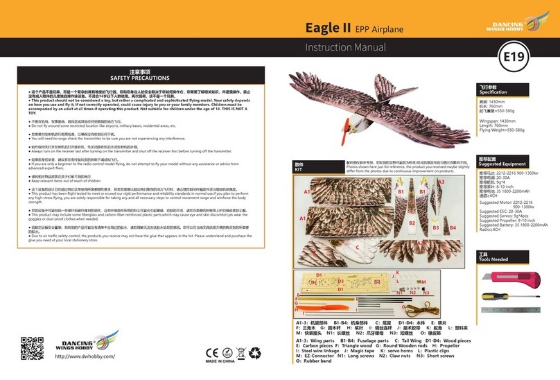 Dancing Wings Hobby Eagle II instruction manual