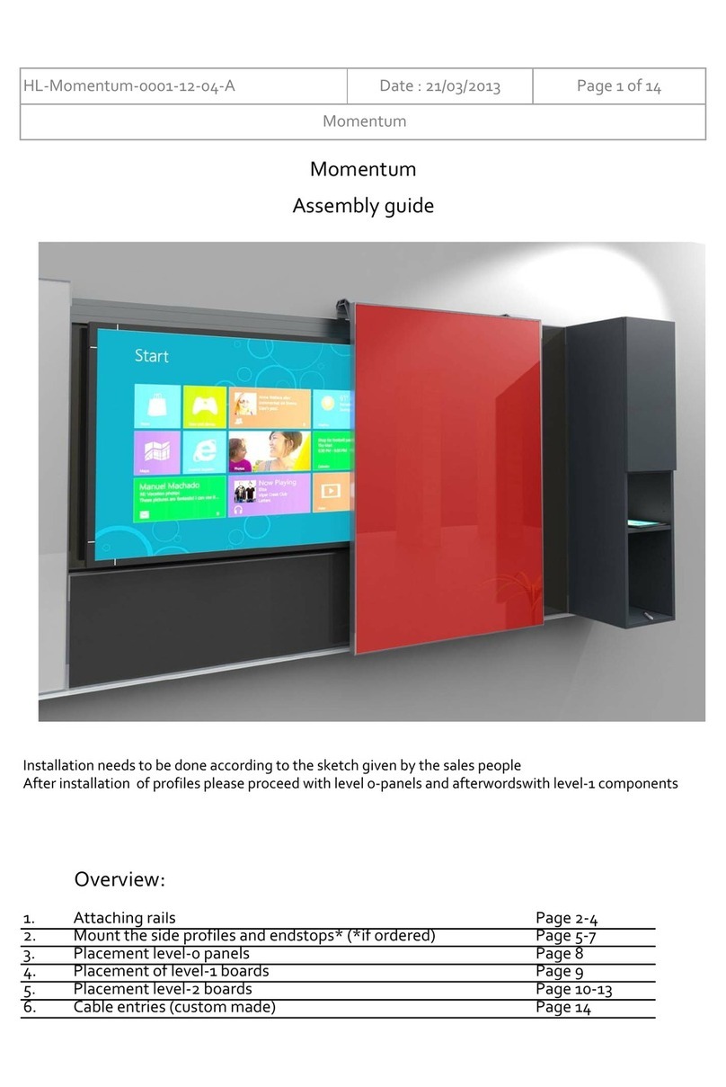 Vanerum Momentum User manual