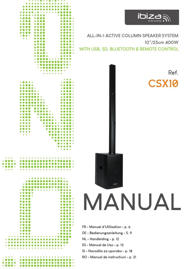 Ibiza sound CSX10 User manual