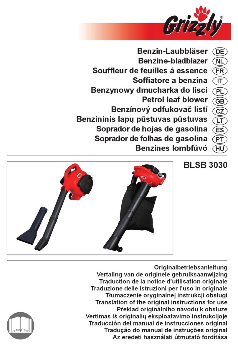 Grizzly BLSB 3030 Translation of the original instructions for use