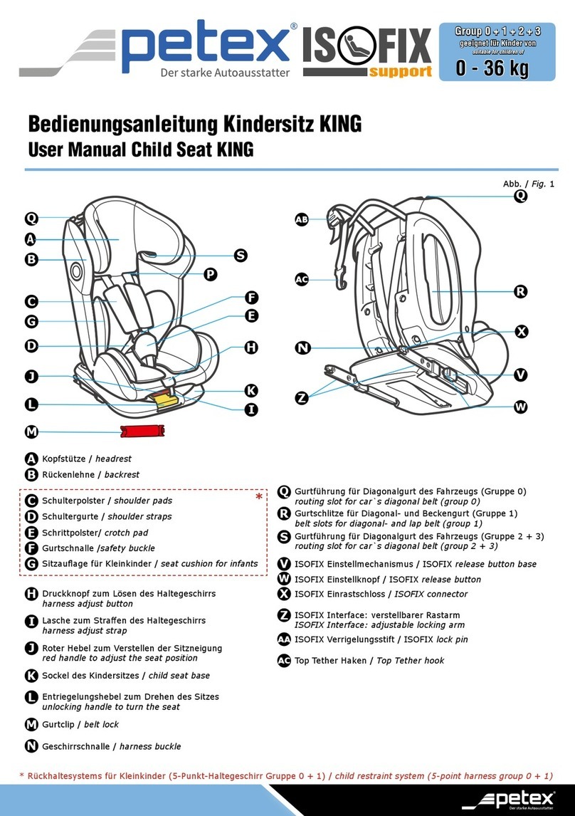 PETEX KING user manual