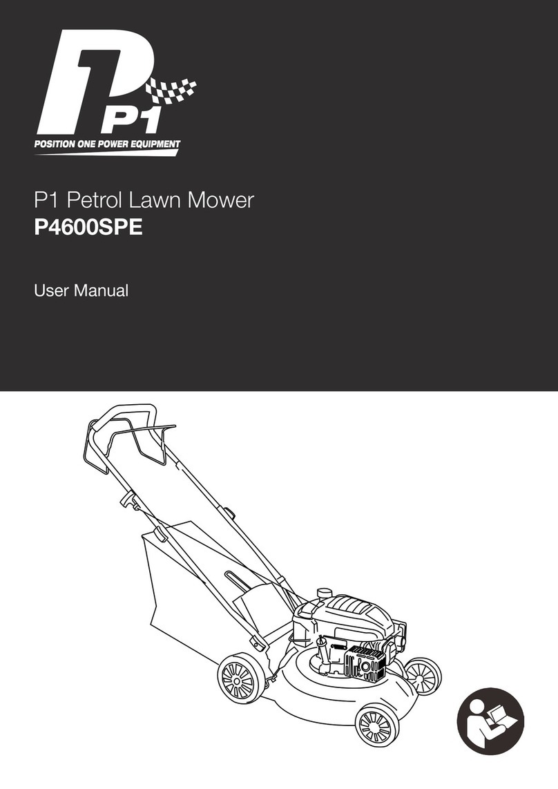 P1 P4600SPE user manual