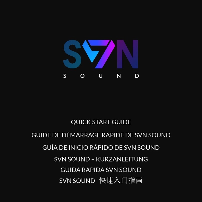SVN Sound Neon 100 quick start guide