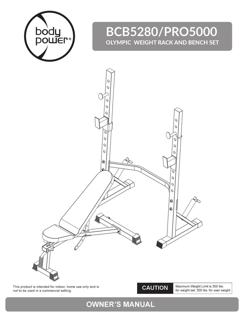 body Power BCB5280 owner's manual