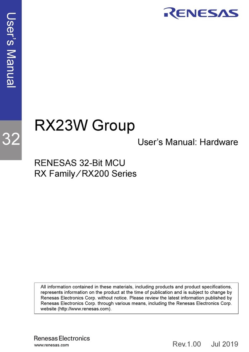 Renesas RX Series user manual