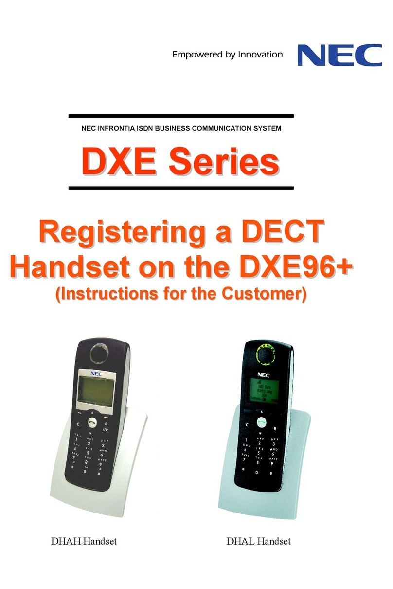 NEC DXE Series Instructions for the Customer