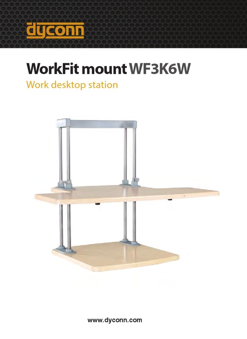 Dyconn WorkFit WF3K6W manual