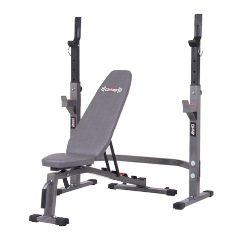 Body Champ BCB3835 owner's manual