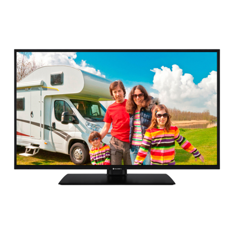 Gogen TVF22P406STC User manual