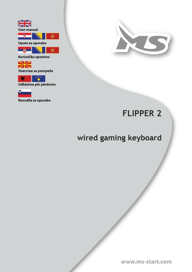 MS FLIPPER 2 User manual