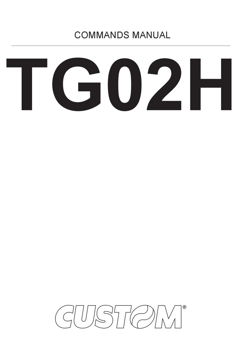 Custom Audio Electronics TG02H Installation instructions