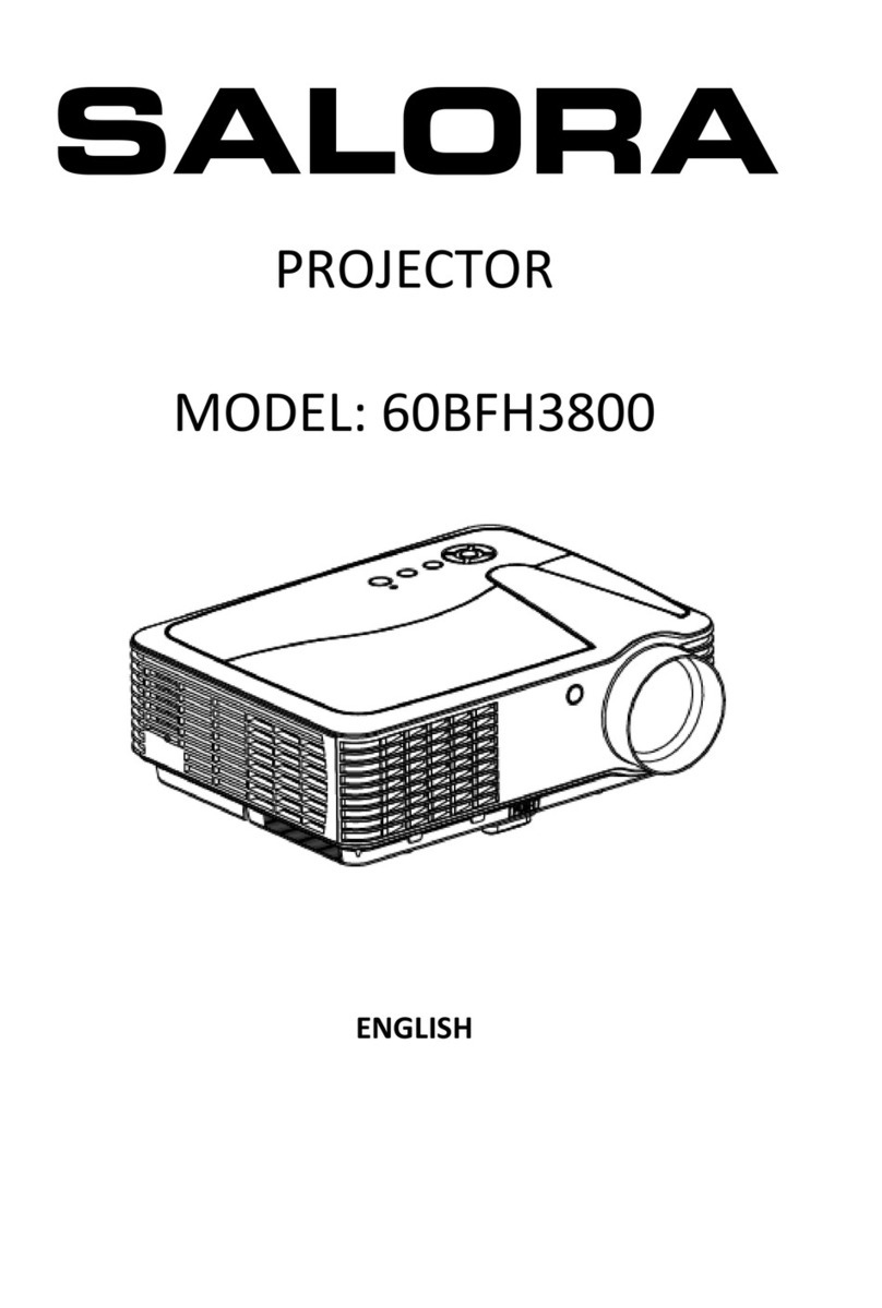 Salora 60BFH3800 manual