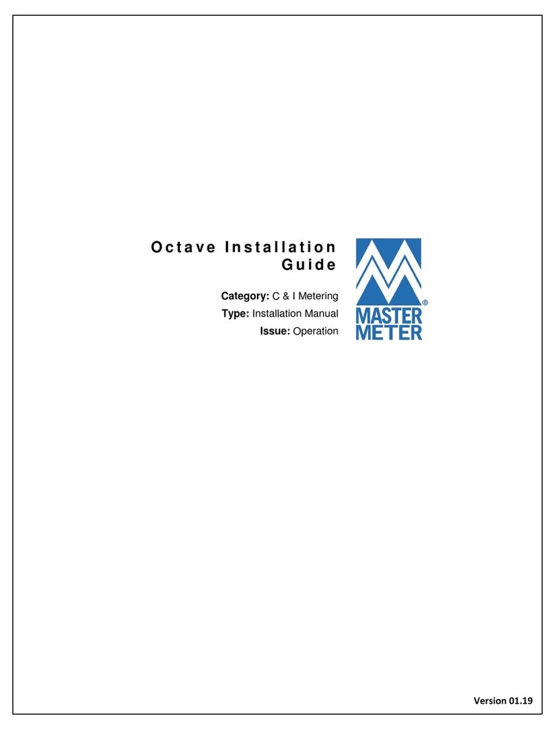 Master Meter octave User manual