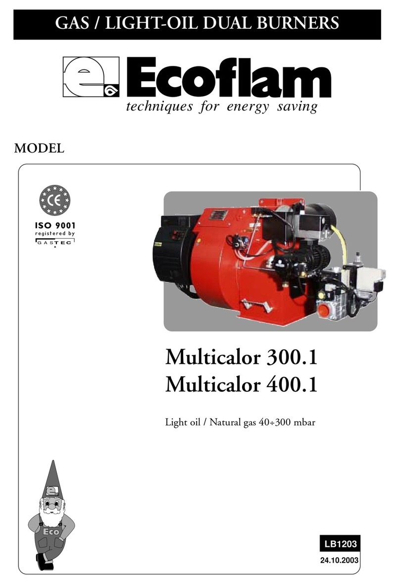 Ecoflam Multicalor 300.1 manual