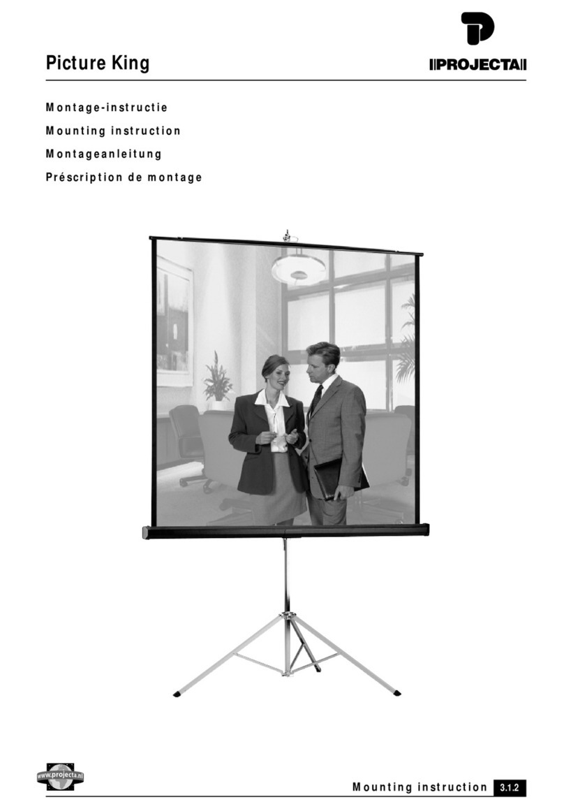 Projecta Picture King User manual