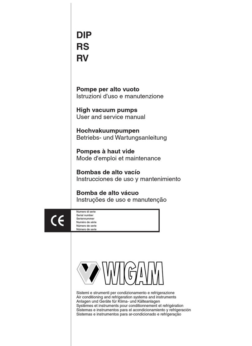 Wigam DIP Series User and service manual Wigam DIP Series User and service manual